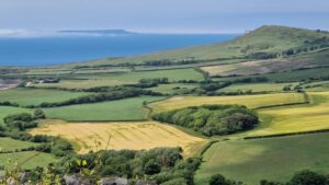 Summer 2025 Newsletter