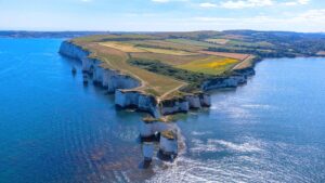 Summer 2023 Newsletter