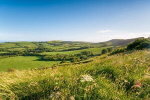 Winter 2021 Newsletter