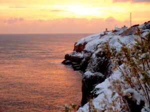 Winter 2022 Newsletter