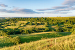 Farmland in the Dorset countryside