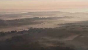 The South Downs National Park Sharing Experiences