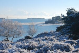 Purbeck arne poole harbour