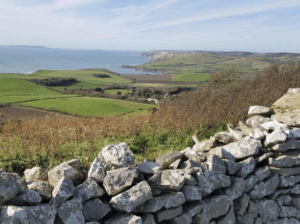 South coast kimmeridge