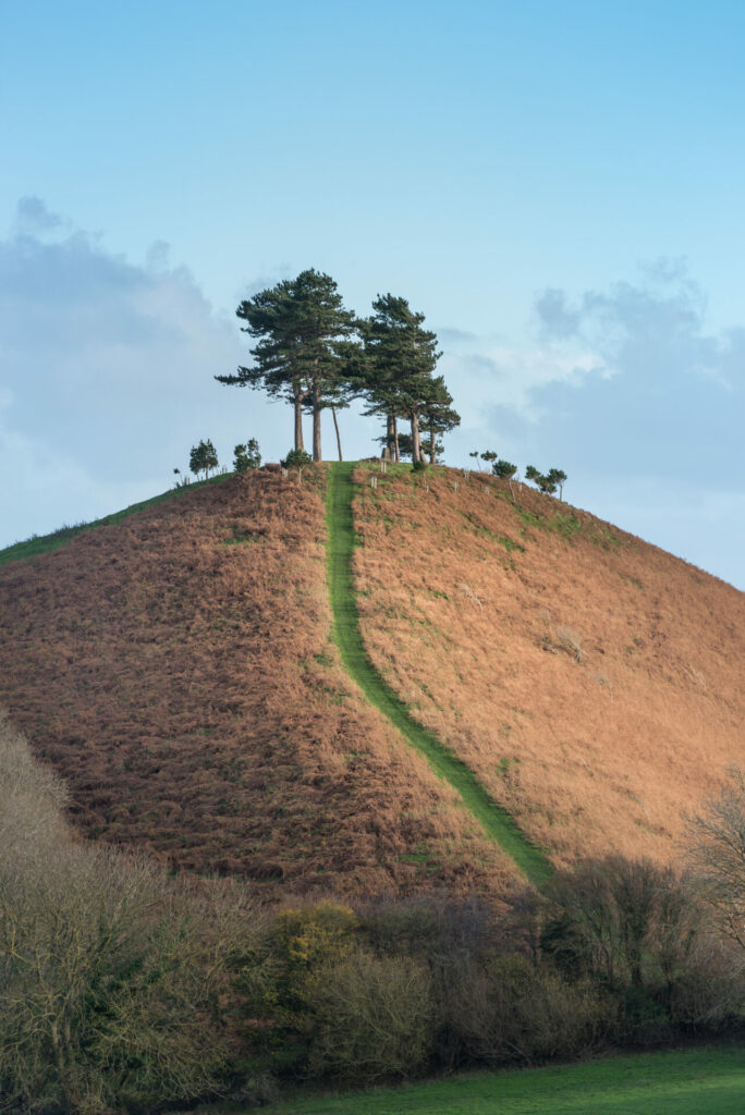 Colmers Hill David Parnell