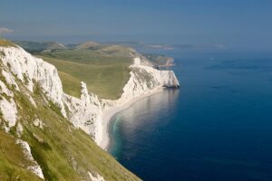 Image courtesy of Tim Arnold