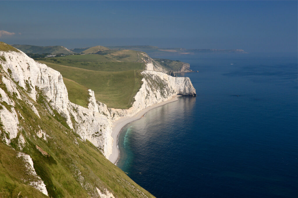 Middle Bottom and Bats Head Tim Arnold