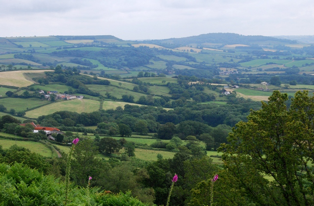 Pilsdon Pen Lewesdon Hill west Dorset Ben Buxton