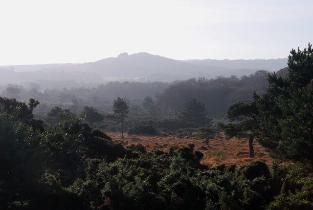 Stoborough Heath Creech Hill Ben Buxton
