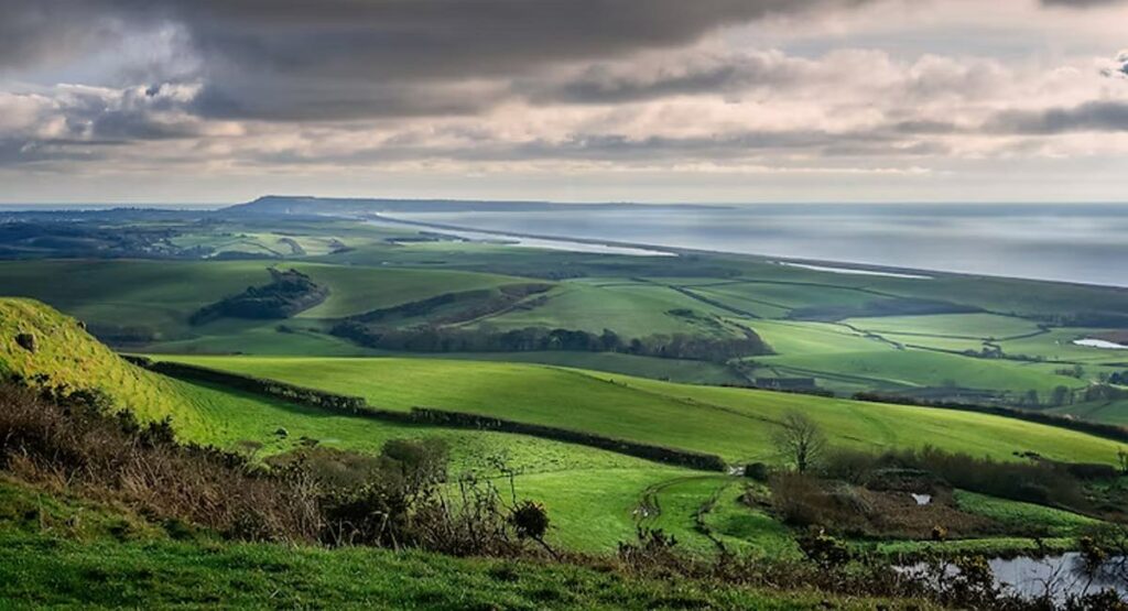 Summer 2019 Newsletter